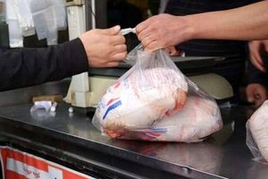 مرغ رسماً گران شد